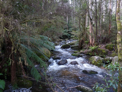 Toorongo River