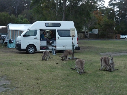 Caravanpark Durras