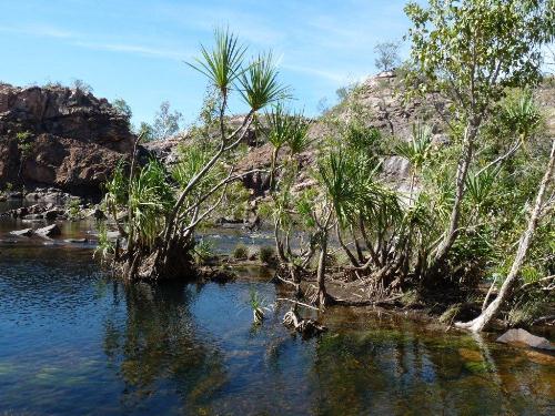 Pool Edith Falls