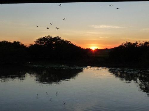 Sunrise am Yellow Water