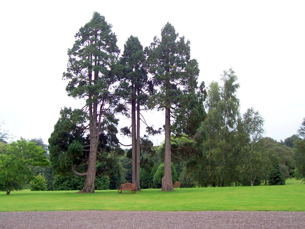 Park Blarney Castle