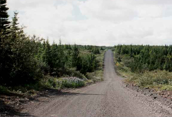 Heidmörk