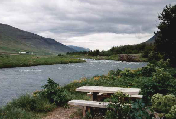 Rastplatz am Fluss Öxnadalsa