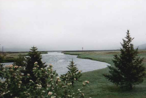Lachsfluss Laxa