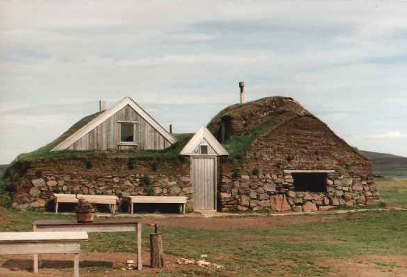 Sænautasel