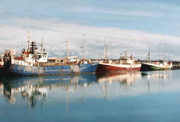 Þorlákshöfn