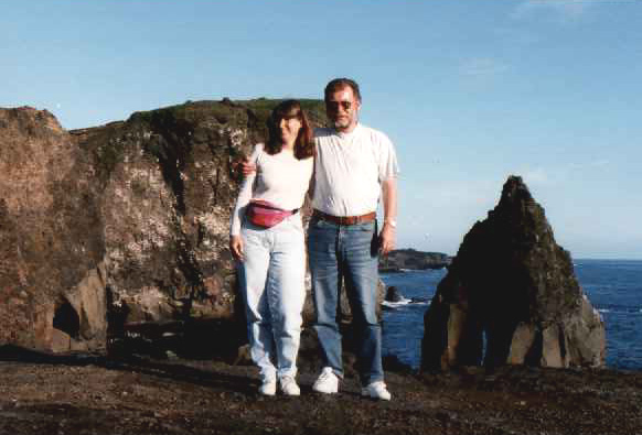 Reykjanesvití