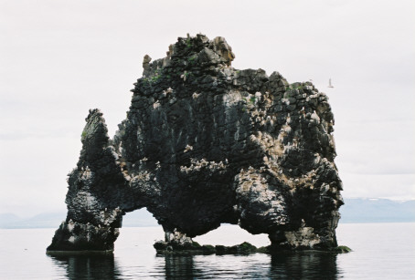 Hvítserkur