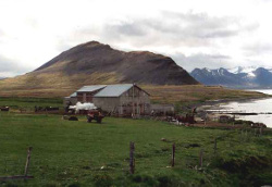 Hof Alvidra