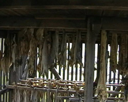 Trockenfisch