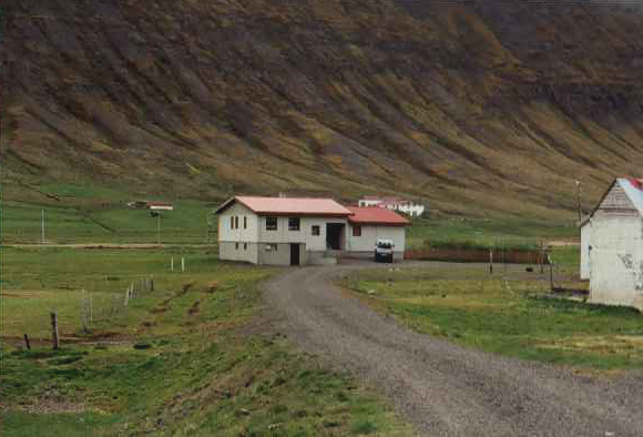 Snartartunga