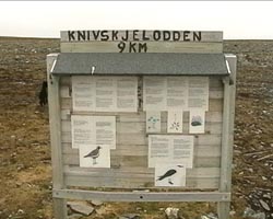 Wanderweg zum Knivskjelodden