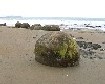 Moeraki Boulders